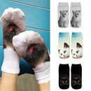 TBD049994301N_4.jpg@43a63c7e757f6ce7a41eddfd5dab95d2