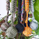 TBD051626801A_3.jpg@fbae9e3d1e68c2c1baf2c1059e325ac3