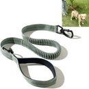 Dog Outdoor Anti-Scourge Traction Rope Nylon Reflective Elastic Stretch Dog Walking Rope( Green)