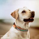 TBD0532464801C_10.jpg@322f4546139fdb43d77dfbc90b92fe74