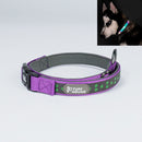 TBD0532464802A.jpg@efb8f94fdd0384158ed1720bf2db1f22