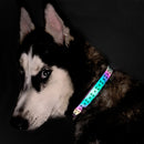 TBD0532464802A_9.jpg@7c25160842cfaa4f0678067e5c97df4a