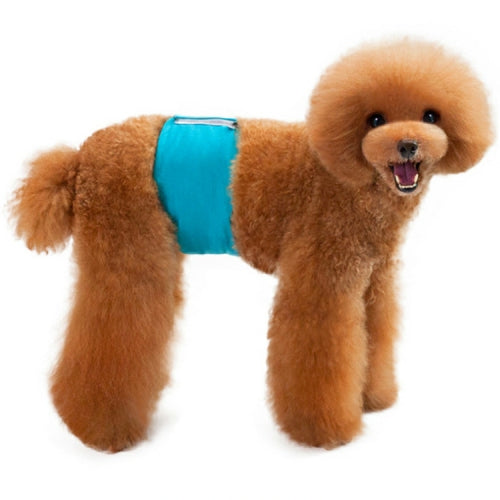 2 PCS Solid Color Physiology Pants For Pet Male Dogs Polite And Anti-Harassment Puppy Safety Pants, Size: S(Cyan)