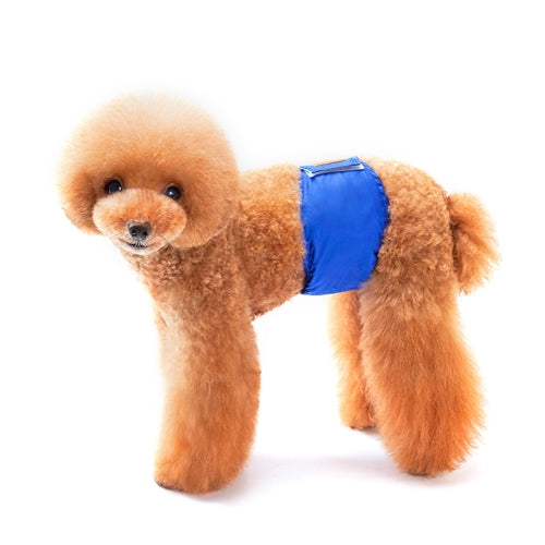 2 PCS Solid Color Physiology Pants For Pet Male Dogs Polite And Anti-Harassment Puppy Safety Pants, Size: XL(Blue)