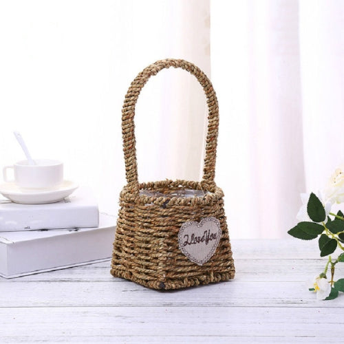 Straw Wire Mesh Woven Flower Basket Hand-woven Succulent Green Plant Pots(A)