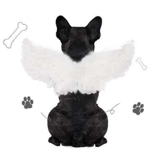 Pet Christmas Halloween Feather Wings Devil And Angel Holiday Makeup, Specification: L(White)