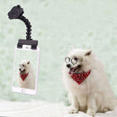 Pet Camera Artifact Dog Cat Looking At Camera Phone Clip(Black )