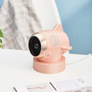 Airplane Heater Can Shake Head Home Office Electric Heater,CN Plug(Pink)