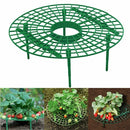 10 PCS Strawberry Stand Balcony Gardening Stand Plant Climbing Pillar