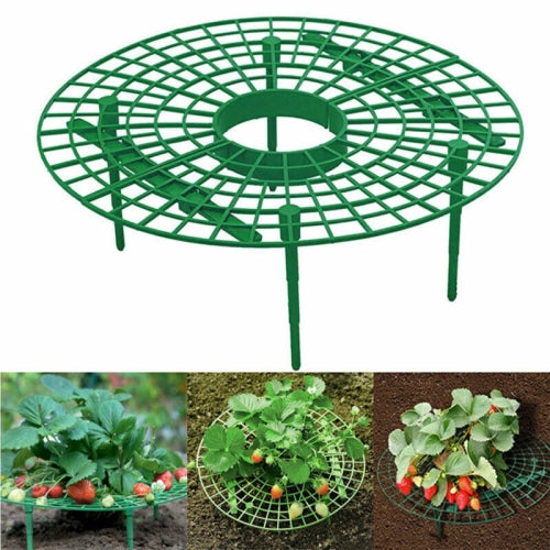 10 PCS Strawberry Stand Balcony Gardening Stand Plant Climbing Pillar