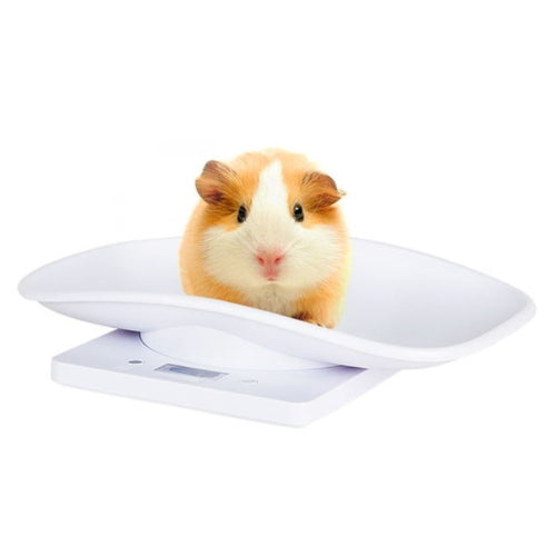 Mini Pet Scale Baking Kitchen Electronic Scale, Specification: 10kg/1g(White)