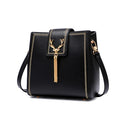 JUST STAR Autumn And Winter Single-Shoulder Bag Casual Messenger Bag Ladies Tassel Square Bag(Wild Black)