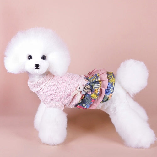 Autumn And Winter Pet Skirt Teddy Bichon Hiromi Schnauzer Yorkshire Small Dog Clothes, Size: M(Pink)