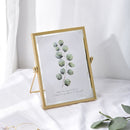 2 PCS Metal Glass Photo Frame Plant Specimen Holder, Size: 6 Inches(Golden Bracket)