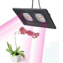 100W Ultra-Thin LED Plant Light, Full Spectrum COB Growth Light, Vegetable, Fruit & Flower Greenhouse Fill Light Without Plug