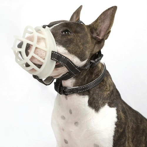 Fluorescent Dog Mouth Cover Pet Masks Anti-Bite And Bark Stopper Pet Supplies, Specification: Number 3