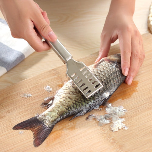 10 PCS Stainless Steel Fish Scale Planer Kitchen Supplies Fish Scale Brush Fish Scraper