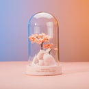 Glass Shade Lamp Cartoon Ornaments Night Light Star Lamp, Colour: Glass Cover Light Pink