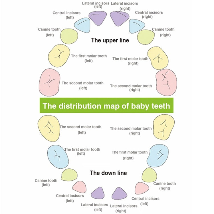 TBD057142502A_8.jpg@a4ef798ac82f75e69695f9a9256d43e0