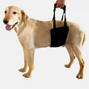 Elderly Dog Auxiliary Belt Pet Hind Leg Disability Care Bracket, Size: 50cmx17cm