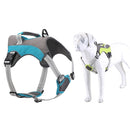 Dog Breast Strap Outdoor Large Dog Special Chest Back Leash, Specifications (length * width): M(Blue)