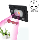 50W Ultra-Thin LED Plant Light, Full Spectrum COB Growth Light, Vegetable, Fruit & Flower Greenhouse Fill Light With Plug, Specification:UK Plug