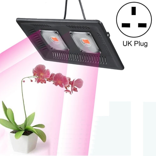 100W Ultra-Thin LED Plant Light, Full Spectrum COB Growth Light, Vegetable, Fruit & Flower Greenhouse Fill Light With Plug, Specification:UK Plug