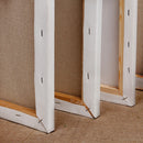 TBD060074705_2.jpg@d5cd5cedc7a129dacc6af44bf142b448