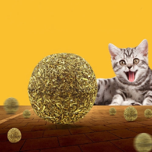 Cat Mint Ball Interactive Training Toy Cat Supplies