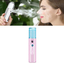 L1918 Nano Spray Water Hydration Instrument Alcohol Disinfection Sprayer Cold Humidifier Steam Face Instrument(Pink)