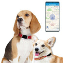 RF-V43 IP67 Waterproof GPS + LBS + WiFi Pet Locator Pet Collar Tracking Device (White)