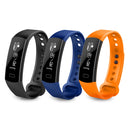 WA8798_B1.jpg@2e8beda1c790b8e1d5173335cac4b09d