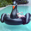 WS7011_3.jpg@40468b557d4868480612bc9c03d508a6