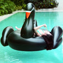 WS7011_6.jpg@769ac1c66293c1d57c6b7a8b862311b2