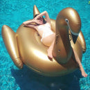 WS7013_7.jpg@418291ec2a1b6e0e5f5d5db13cf2aec6