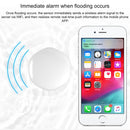 WSM0920_7.jpg@02d779503ddded7aa53ea1d343d90a8d