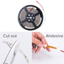 ZY12910697AA_7.jpg@7fbf88c694a88e1fcb405498816ddc22