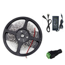 YWXLight 5M 5050SMD 300LEDs Bare Version Blue Light LED Strip with Connector, 5A, US Plug