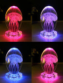 ZY13262099L_5.jpg@93b3dbdd0f524b29c4e305f86e7aa82e