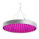 ZY13727484.jpg@ab962707076080a0772452812f1db643