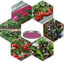 ZY13727484_8.jpg@41e3dbcbca4d6ed52f0c9421a288f9fe