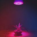 ZY27128311_4.jpg@7ce0d8f9a0225ea5ab25495b409834d3